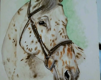 Aquarelle / Gouache Pet and Animal Portraits