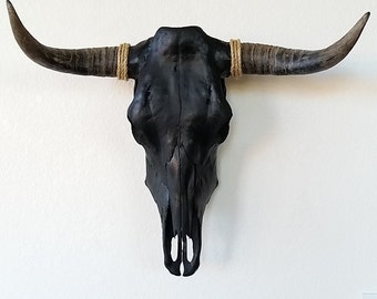 Real Cow Skull Etsy