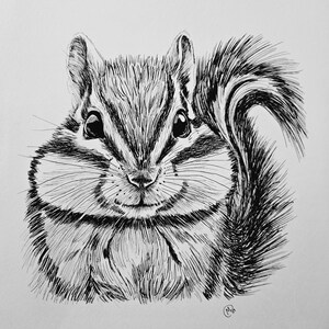 CHIPMUNK Wildlife Dibujo a tinta de 8,5 x 11, impresión del original en cartulina