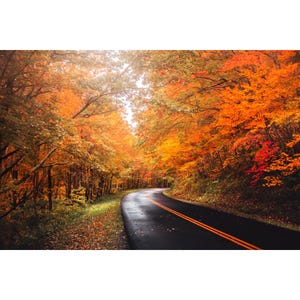 Rainy Blue Ridge Drive (Blue Ridge Mountains) | Landscape | Photography | Fall | North Carolina | National Park | Fine Art | Print