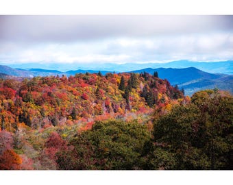May include: A panoramic view of a mountain range with a forest of trees in various shades of red, orange, yellow, and green. The trees are in the foreground, and the mountains are in the background. The sky is cloudy and blue.