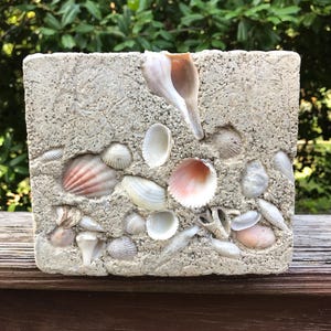 May include: A rectangular, textured, light beige block decorated with various seashells. The shells are in shades of white, pink, and beige, and are embedded in the block's surface. The block is sitting on a wooden surface.