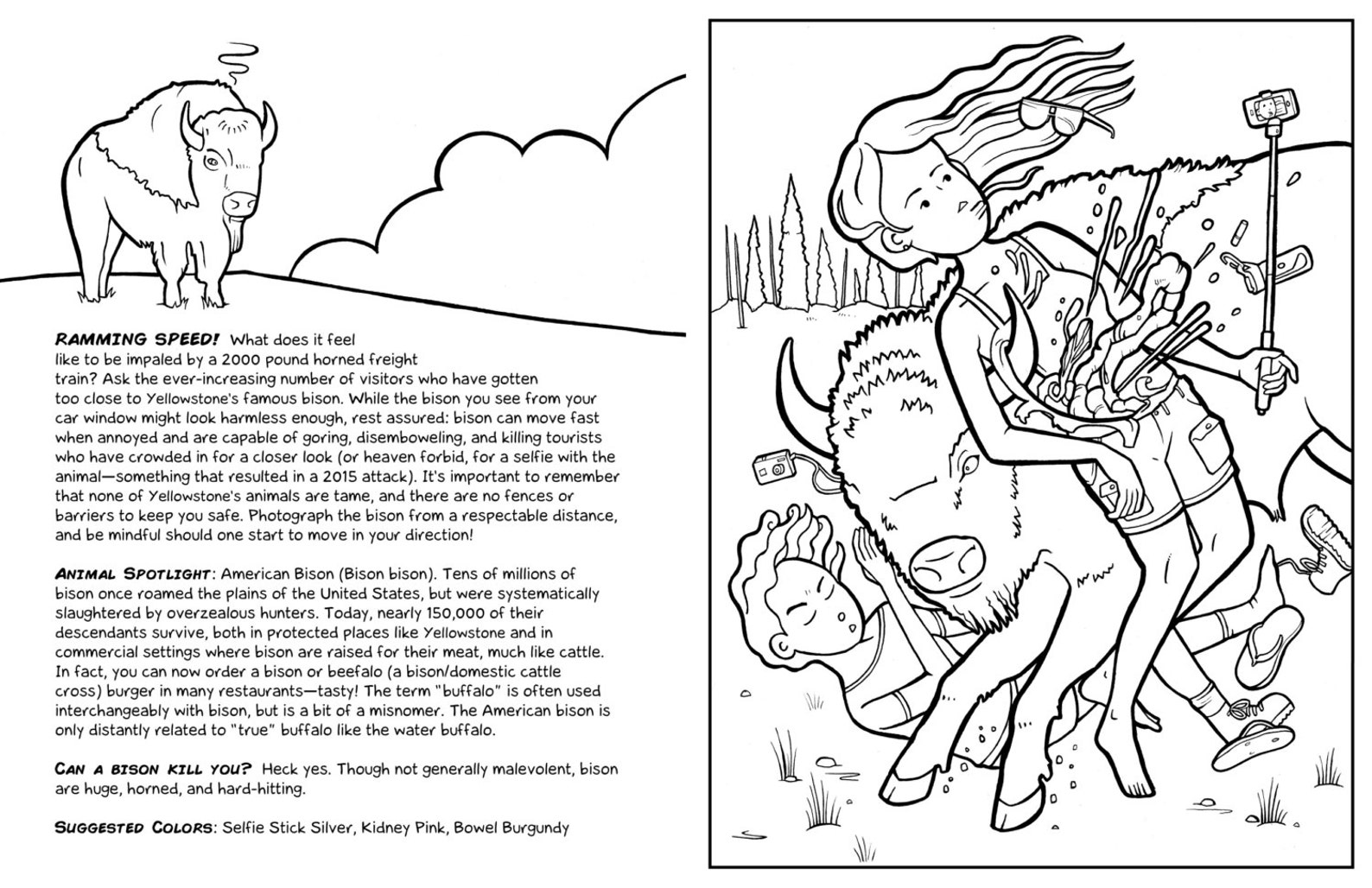 Yellowstone National Park A Cautionary Coloring Book | Etsy