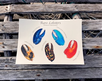Rare Lobster Colors Sticker Sheet / Lobster Claw Decals