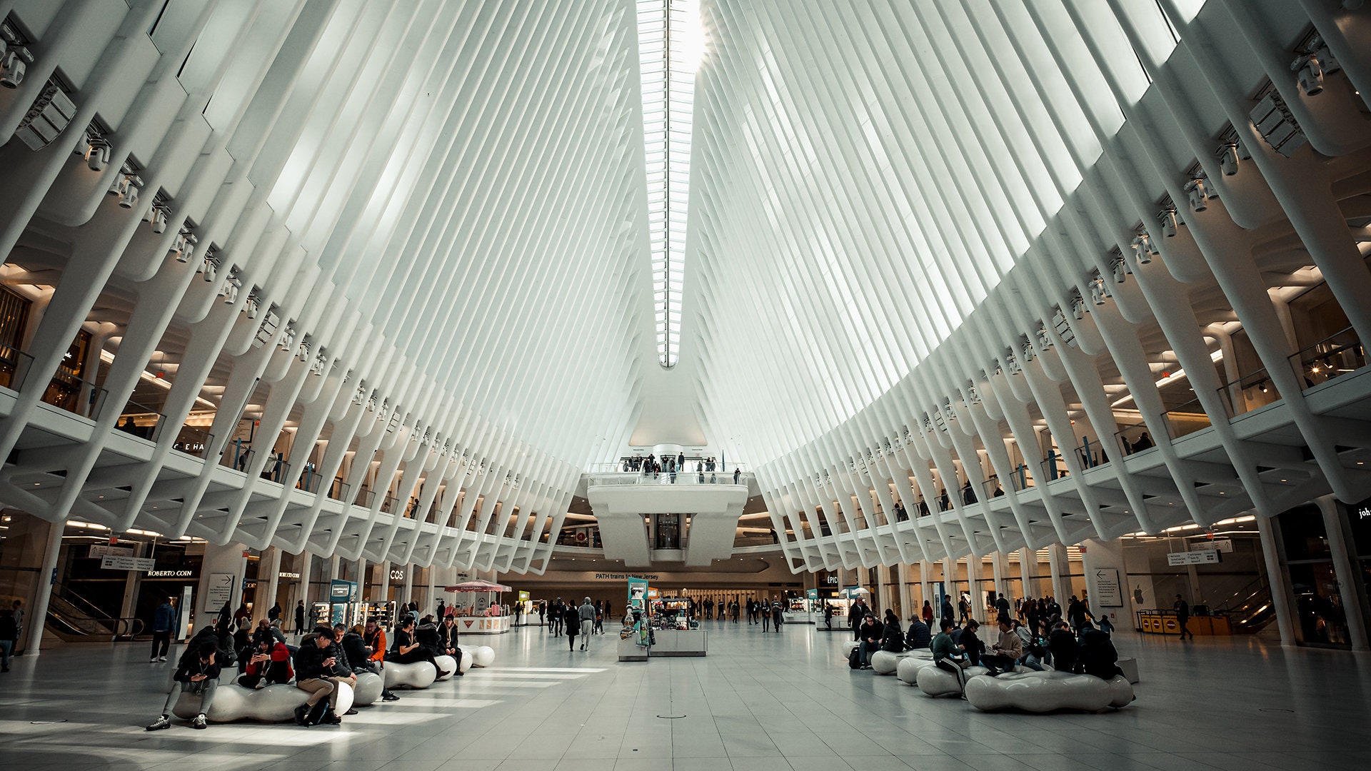 New York City Zoom Background