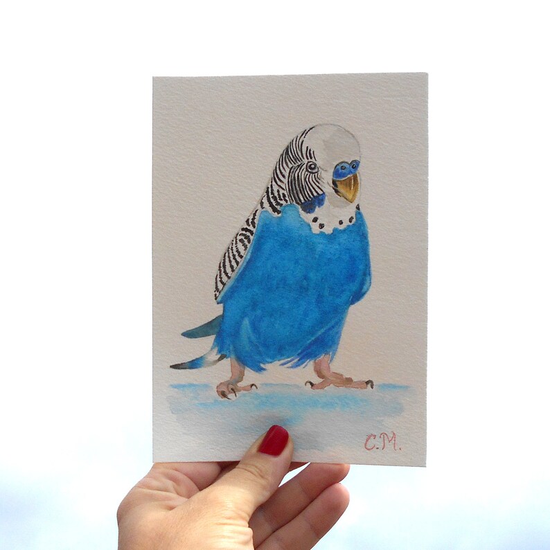 Budgie blank greeting card of fine art oil painting baby budgerigar on finger