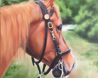 Horse art, equine art, horse painting, wall art, Original oil painting "Serenity" 11x14" on gallery wrapped canvas.
