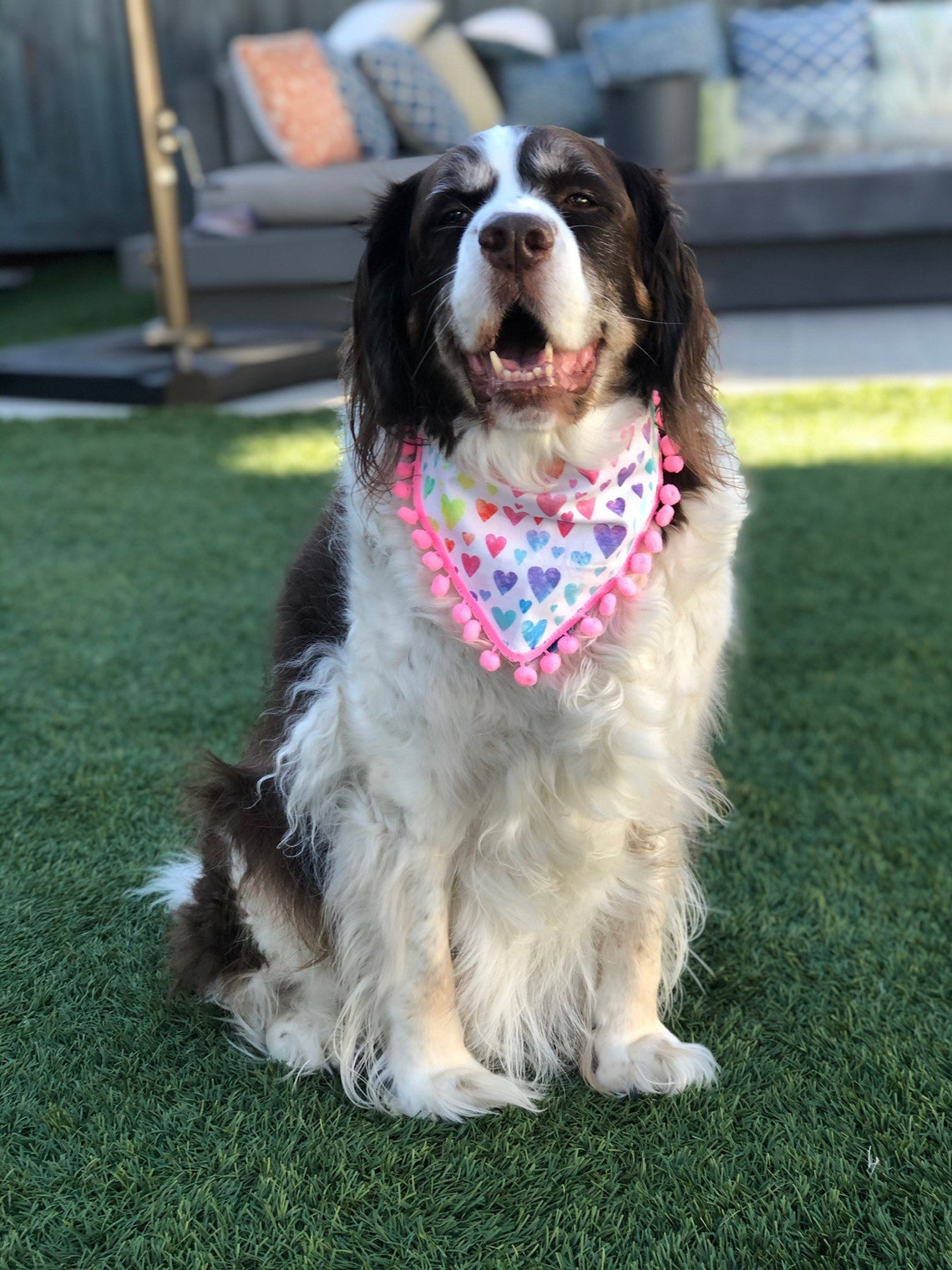 Dog Pom Pom Bandanas 100 Cotton Washable Lined Over 75 Etsy