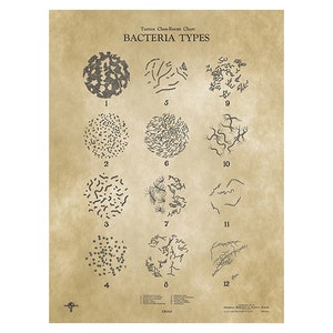 BACTERIËN TYPES Wetenschappelijke Poster Chart VINTAGE print 1937 klaslokaal biologie antieke illustratie kunst