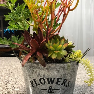 May include: A galvanized metal bucket planter with a black inscription that reads "Flowers & Garden". The planter is filled with a variety of succulents, including a green rosette succulent, a red succulent, and a yellow succulent.