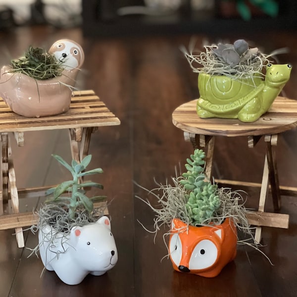 Cute Ceramic Animal Planters - Sloth, Turtle, Elephant and Fox