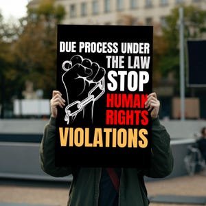 Stop Human Rights Violations, Hands Off Our Democracy, PNG Digital File Sign, Protest Sign For March, Anti Trump, Anti Musk, Political Art