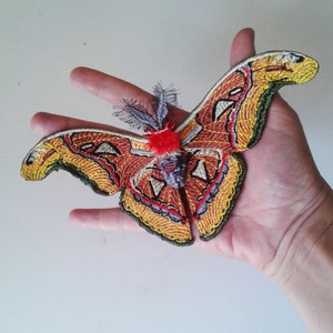 moks218(p) atlas moth embroidered patch