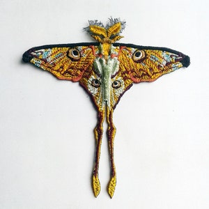 Puede incluir: Un parche de polilla bordado en amarillo y marrón con antenas largas y alas detalladas. La polilla tiene un contorno negro y un cuerpo blanco.