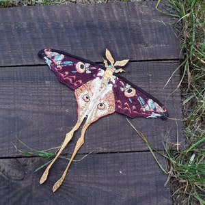 Moks294(p)  madagascar moth embroidered patch