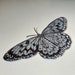 see more listings in the  Butterfly Patches section