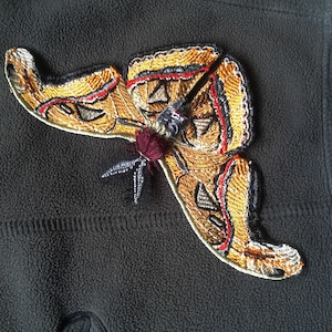 moks219(p) Attacus Atlas Moth Patch, Insect Patch