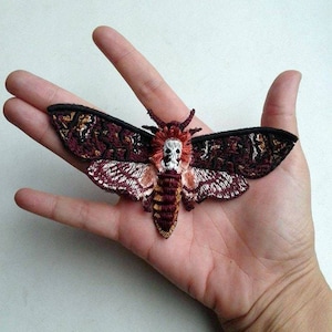 Moks59(p) Butterfly dead head  Insect Embroidered Patch