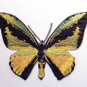 Puede incluir: Parche de mariposa bordado en negro y amarillo con detalles verdes.