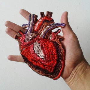 Moks153(p) Anatomical Heart Patch