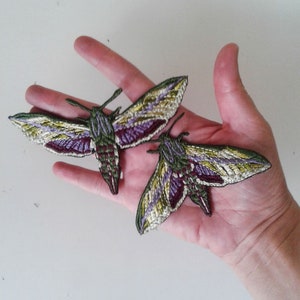 moks221(p) set of 2 pieces moth embroidered patch -  hummingbird hawk moth