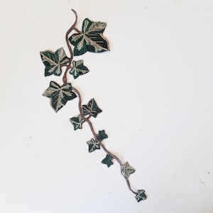 Moks540 English Ivy Realistic Patch, Wildlife Plant