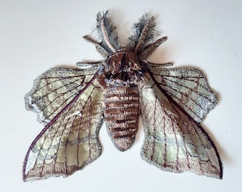 Moks518 Gray Hawk Moth, Poplar Hawk Embroidered Patch