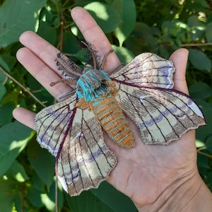 Moks517 Moth Large Patch, Poplar Hawk Realistic Sew on Patch