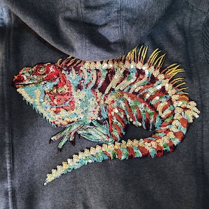 May include: A grey hooded sweatshirt with a colourful sequined iguana design on the back.