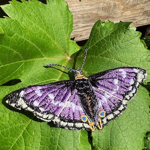以下が含まれることがあります： 緑の葉に刺繍された、白の斑点と黒い縁取りのある紫と黒の蝶