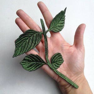 May include: A green embroidered fabric patch depicting a leafy stem with multiple leaves. The patch is perfect for adding a touch of nature to clothing, bags, or other crafts.