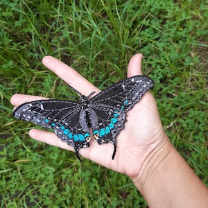 May include: A hand holding a black and blue butterfly with turquoise accents. The butterfly is embroidered and has a detailed design.