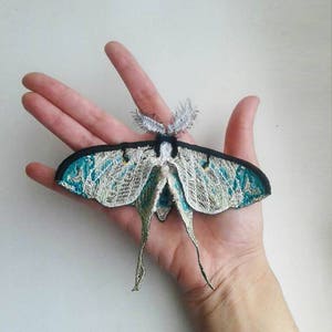 Moks99(p) Butterfly Luna Moth Wing  Insect Embroidered Patch