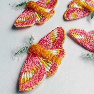 Moks147p Set 4 pieces rosy maple moth Embroidered Patches image 4