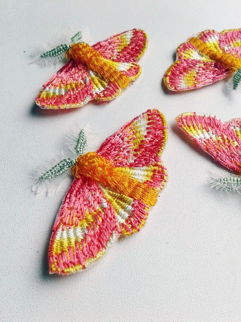 Moks147p Set 4 pieces rosy maple moth Embroidered Patches image 4