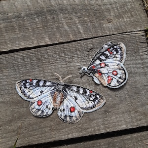 Może przedstawiać: Dwa haftowane naszywki z motylami o czarnych, białych i szarych skrzydłach i czerwonymi akcentami. Naszywki znajdują się na drewnianej powierzchni.