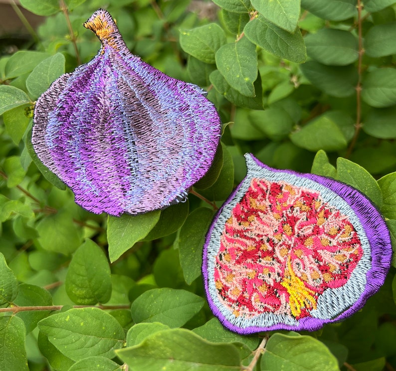 Moks638 Fig, Tropical Fruit, Subtropical Plant, Fig Tree Set 2pcs ...
