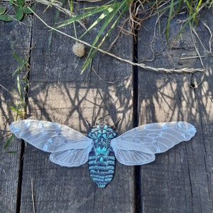 Pu&ograve; includere: Una toppa ricamata a forma di cicala con ali in pizzo azzurro chiaro e un corpo turchese e blu. L'insetto &egrave; appoggiato su una superficie di legno stagionato con erba e luce solare.