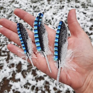 Moks271(p) set toppe ricamate con piume Blue Jay, toppa per uccelli