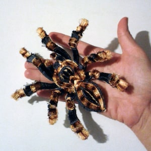 Moks18(p) Velvet spider insect  Embroidery Patch
