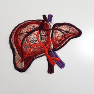 Op de afbeelding: Geborduurde patch met een gedetailleerde anatomische lever in tinten rood, bordeaux en paars. De patch heeft ingewikkelde stiksels om de structuur van het orgaan weer te geven, inclusief bloedvaten en aderen. Voor kleding of accessoires.