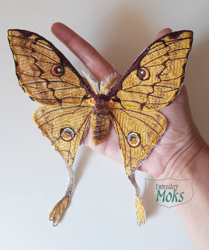 Moksp343 designer patch moth embroidered patch Argema | Etsy