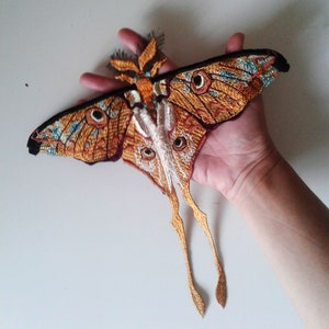 Puede incluir: Una gran polilla bordada con alas marrones, naranjas y blancas. La polilla tiene grandes ojos redondos y patas largas y delgadas.