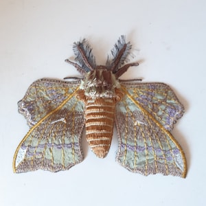 May include: A brown and green embroidered moth with a detailed design. The moth has a large body and wings with a pattern of stripes and lines.