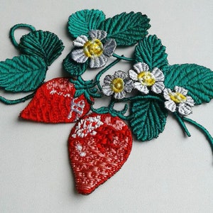 Moks117(p) set Strawberry Patch with flowers and leaves for creativity - Vegetable patch
