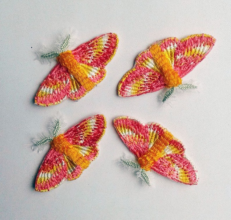 Moks147p Set 4 pieces rosy maple moth Embroidered Patches image 5