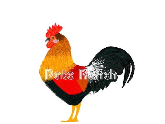 Rooster Clipart Rooster Illustration Rooster Png Digital Etsy Rooster Clipart Rooster Illustration Rooster Png Digital Etsy