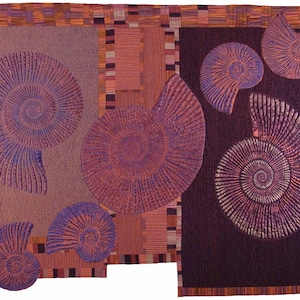 Ammonites - Award Winner!
