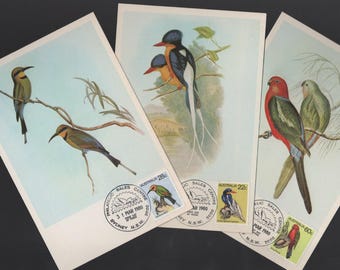 Bellissimo set di 3 francobolli di uccelli nativi australiani BIRDS su maxi cartoline vintage del 1980 - Regalo filatelico, progetti per bambini o lavori artigianali