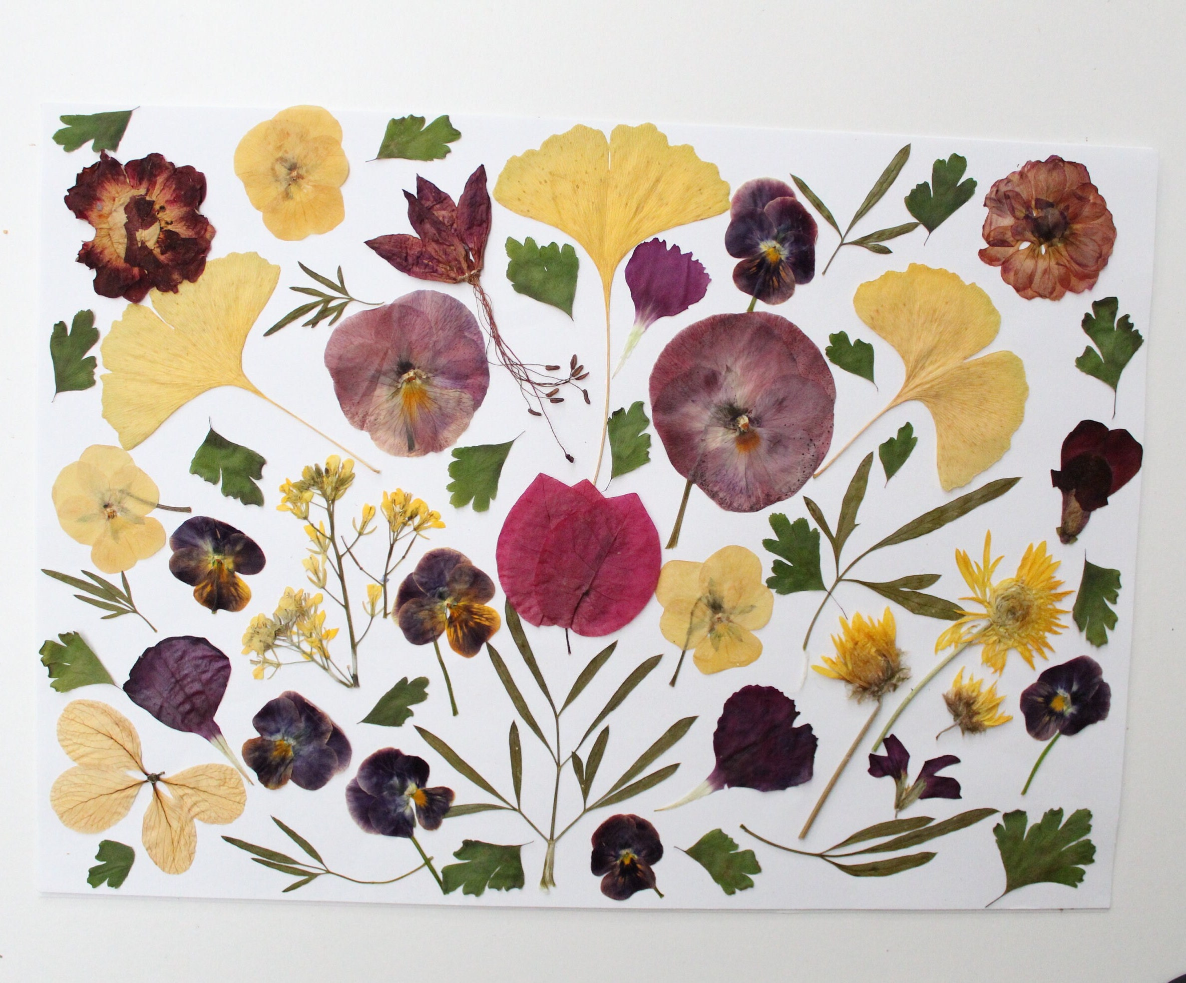 55pc Edible Pressed Flowers, Mixed Dried Flowers Wedding Cake Flowers